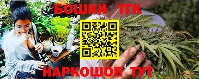 скорость Новозыбков