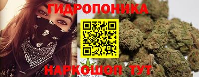 скорость Новозыбков