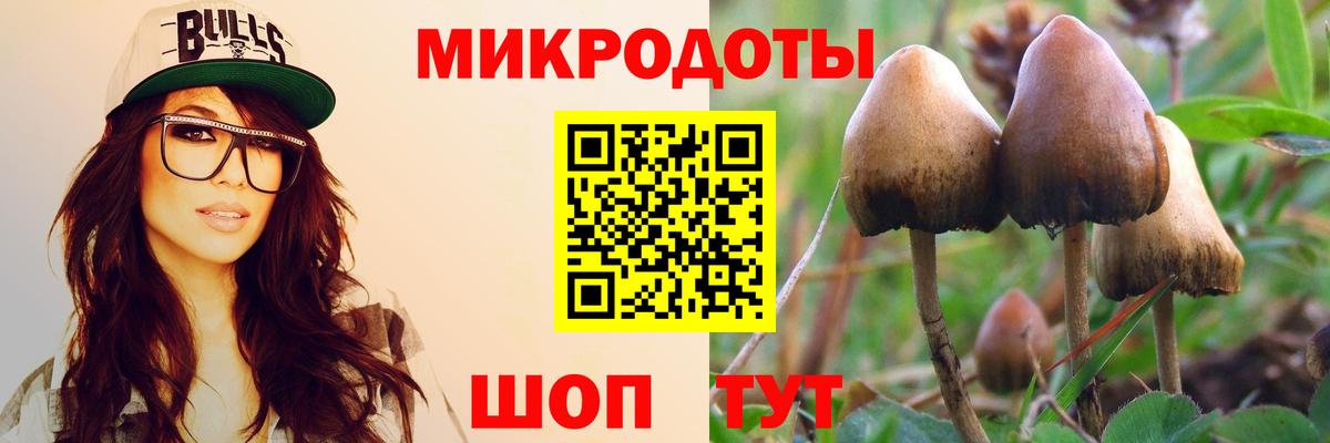 Среднеуральск  Псилоцибиновые грибы прущие грибы  Вход с VPN 