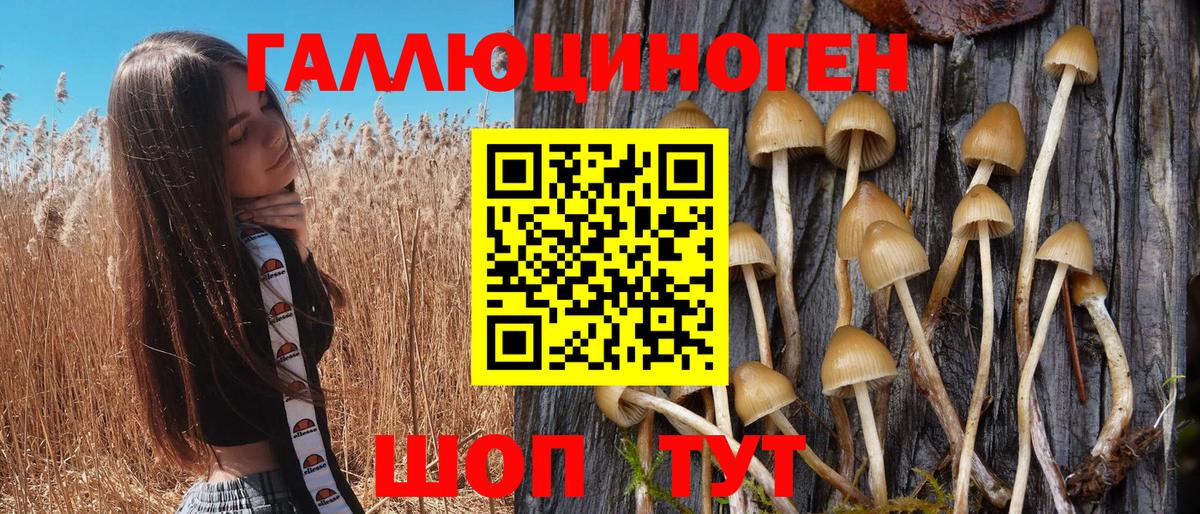 Псилоцибиновые грибы Magic Shrooms Среднеуральск